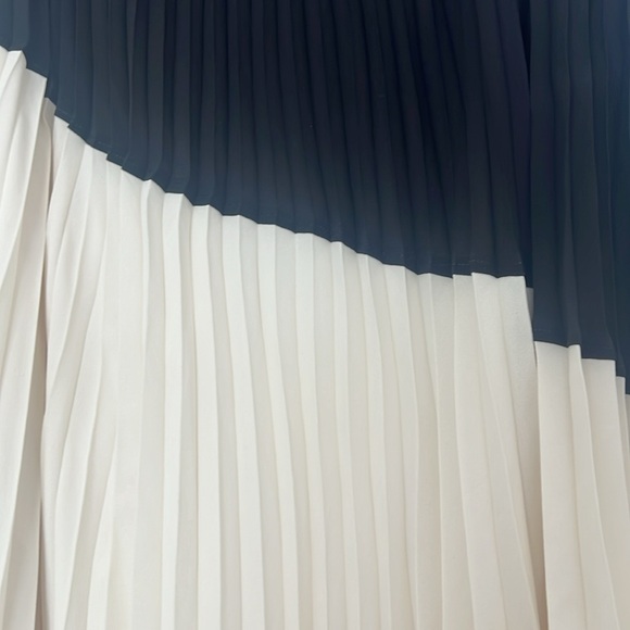 EXPRESS WHITE AND BLACK COLOR BLOCK MAXI SKIRT PLEATED - Picture 4 of 6